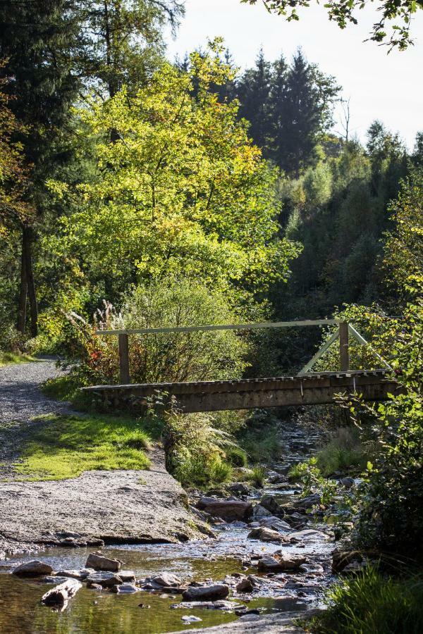 La Belle Du Bayehon Villa Malmedy Dış mekan fotoğraf
